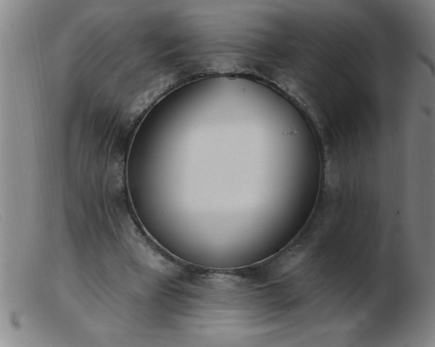 X0000103490393200809191927