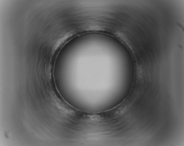 X0000103490395200809191927