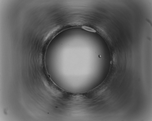 X0000103490396200809191927