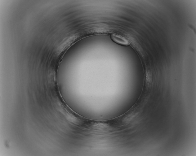 X0000103490397200809191927