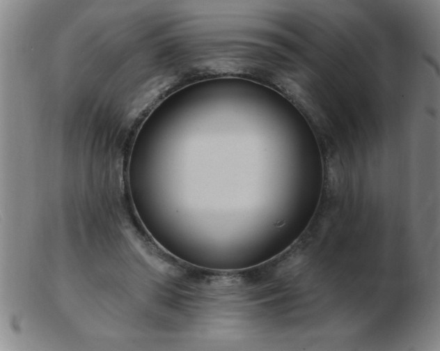 X0000103490398200809191927