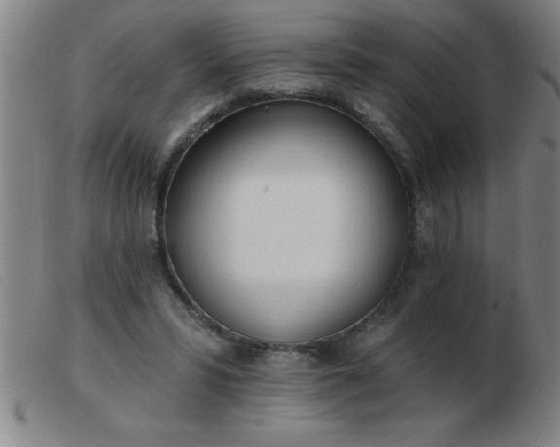 X0000103490399200809191927