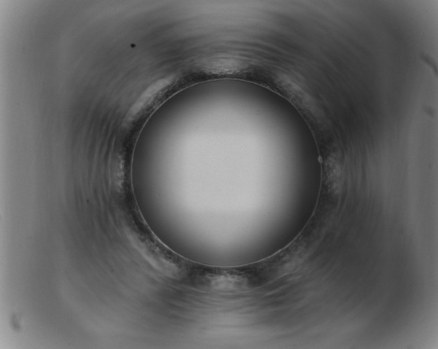 X0000103490400200809191927