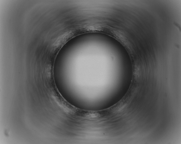 X0000103490402200809191927