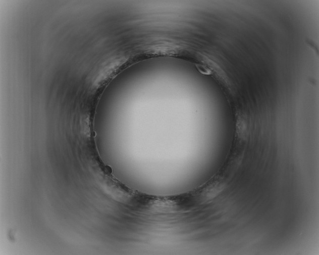 X0000103490403200809191927