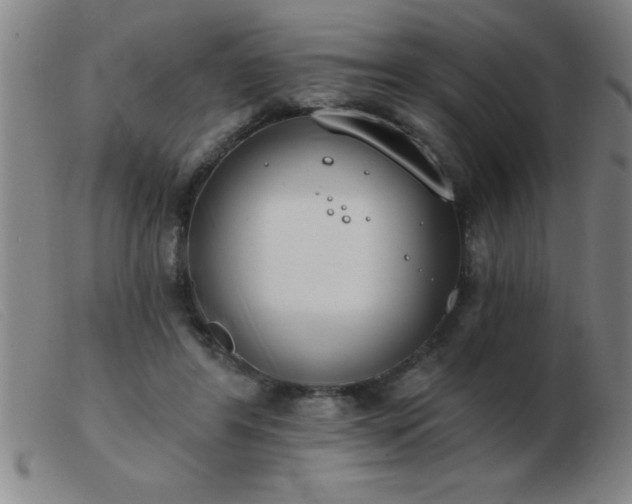 X0000103490404200809191927