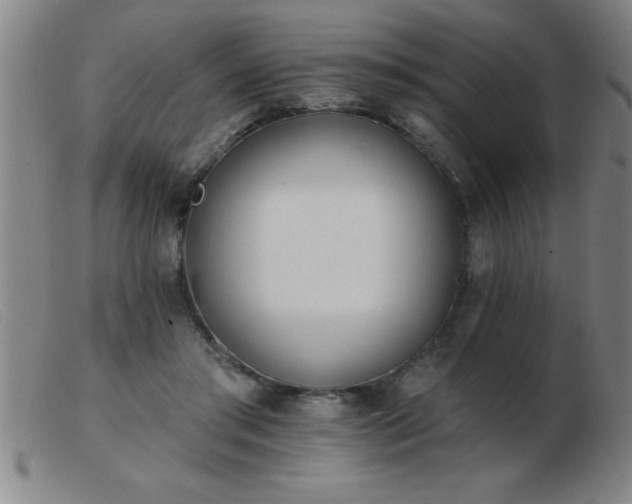 X0000103490405200809191927