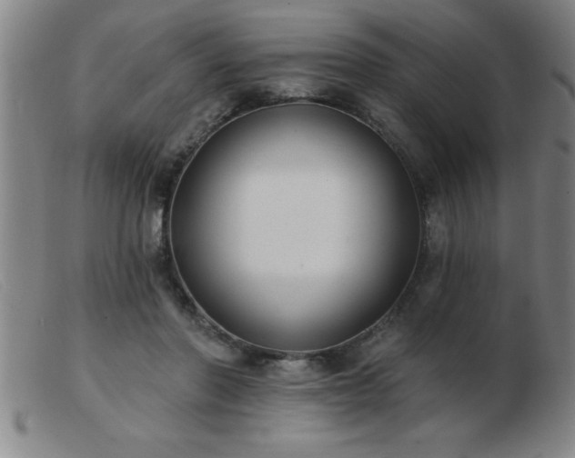 X0000103490406200809191927