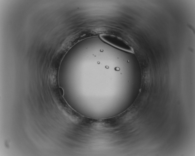 X0000103490408200809191927