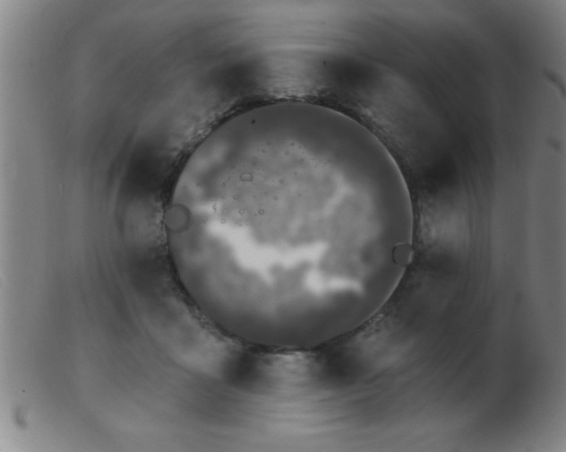 X0000103490411200809191927