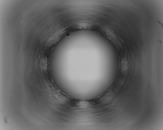 X0000103490413200809191927