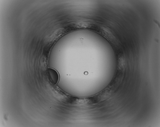 X0000103490414200809191927