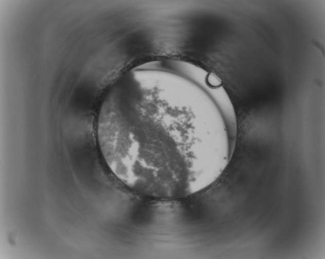 X0000103490415200809191927