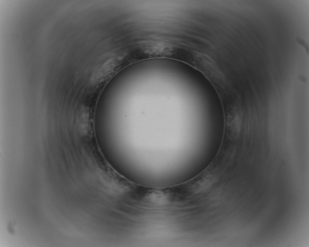 X0000103490416200809191927