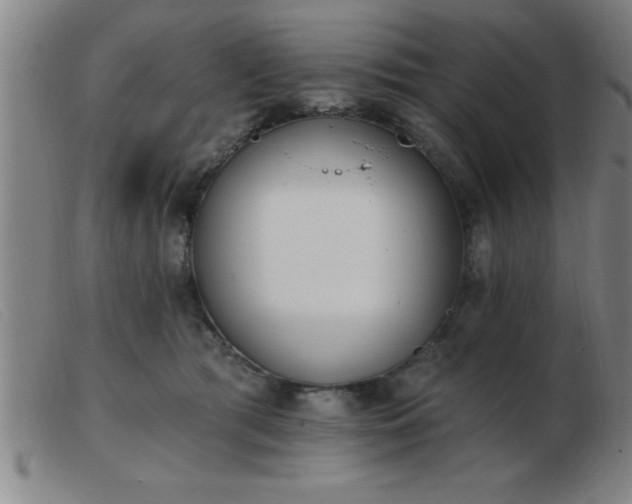 X0000103490417200809191927