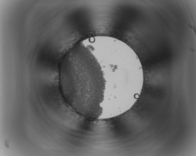 X0000103490419200809191927