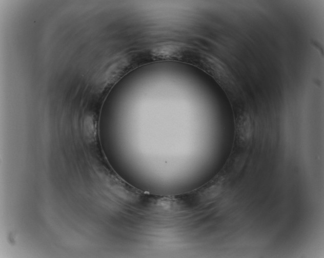 X0000103490420200809191927