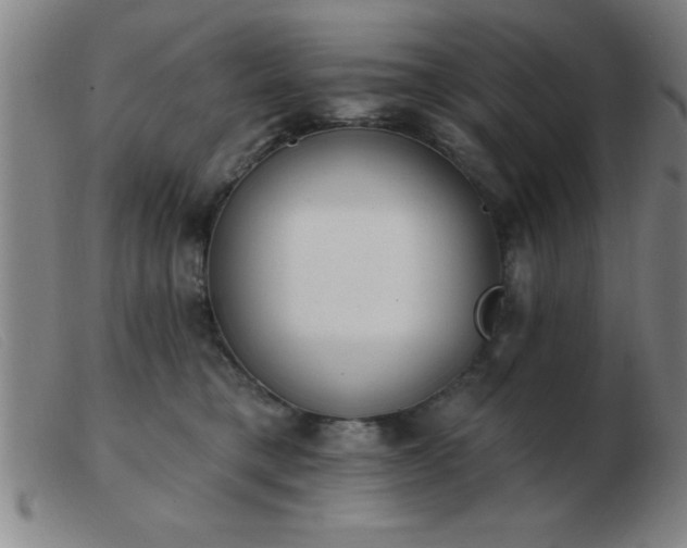 X0000103490421200809191927