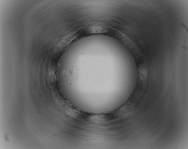 X0000103490422200809191927