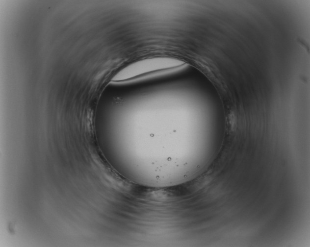 X0000103490423200809191927