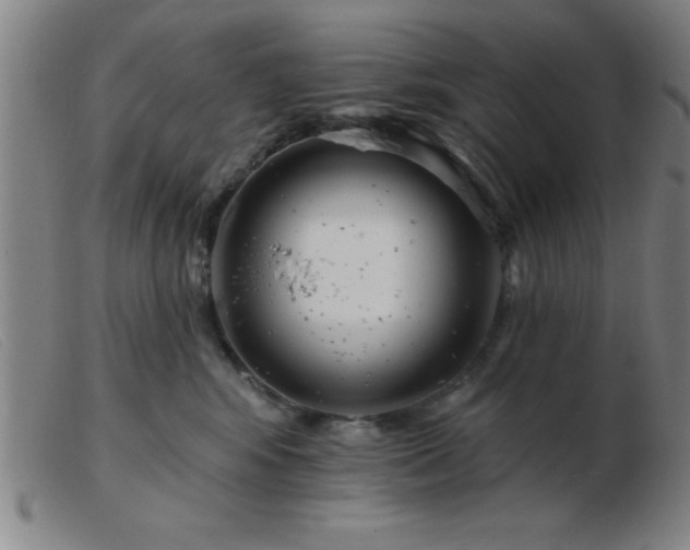 X0000103490424200809191927