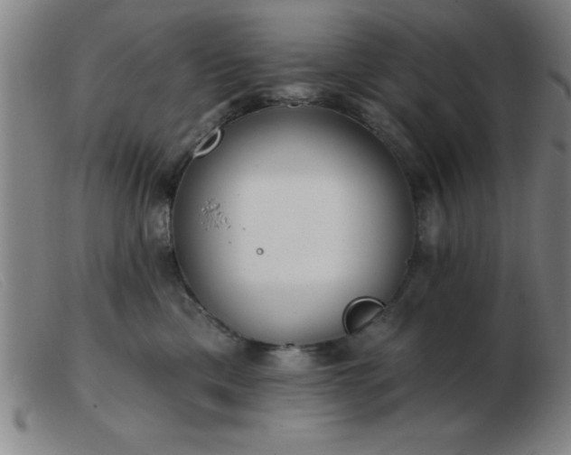 X0000103490425200809191927