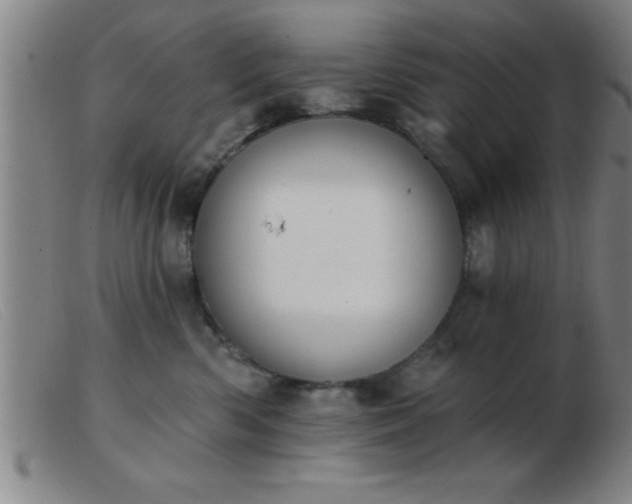 X0000103490426200809191927