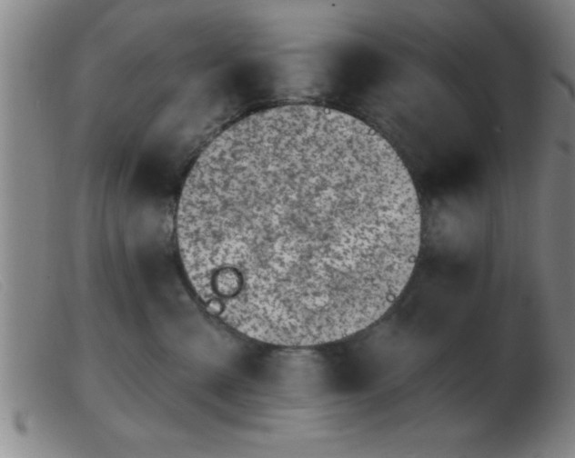 X0000103490427200809191927