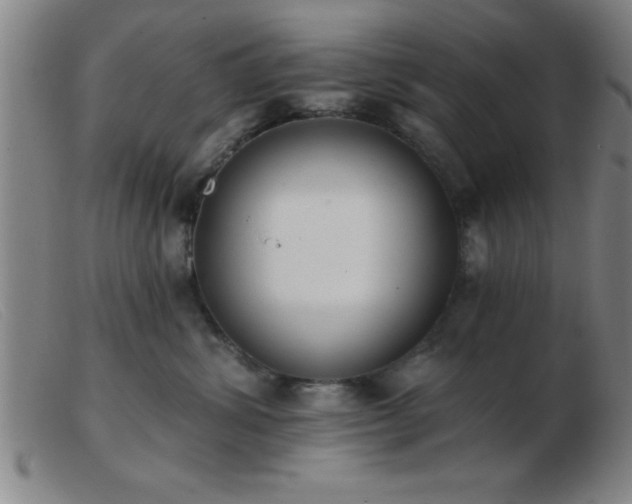 X0000103490428200809191927