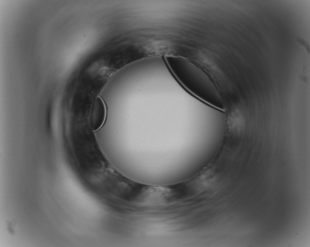 X0000103490429200809191927