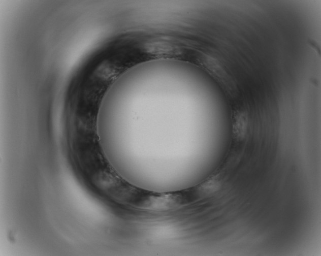 X0000103490430200809191927