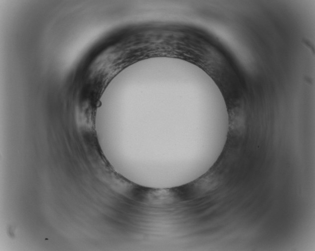 X0000103490431200809191926