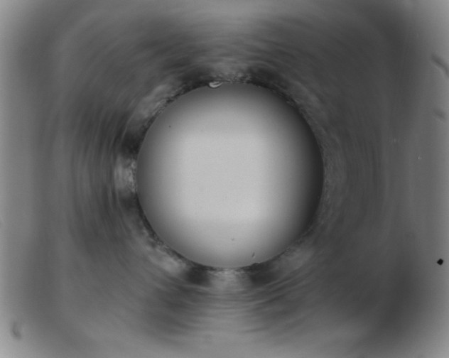 X0000103490432200809191926