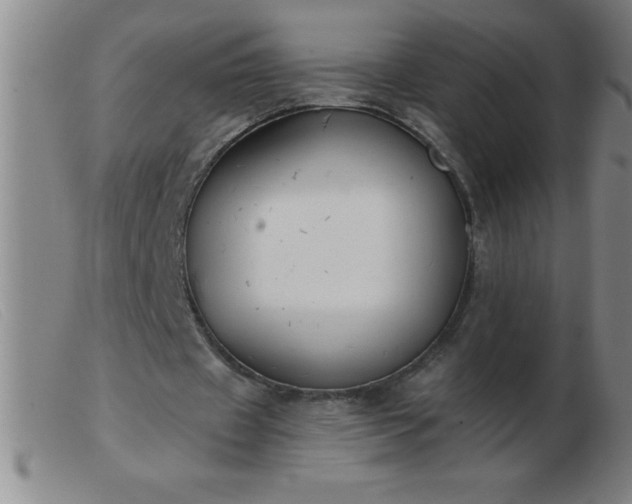 X0000103490433200809191926