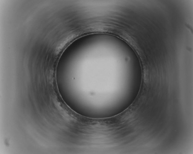 X0000103490434200809191926