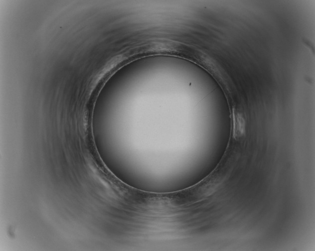 X0000103490435200809191926