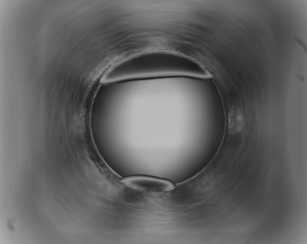 X0000103490436200809191926