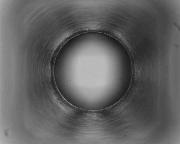 X0000103490439200809191926