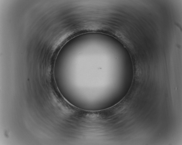 X0000103490440200809191926