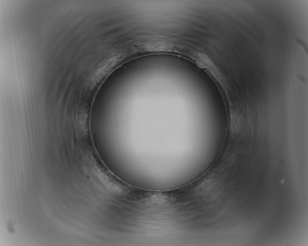 X0000103490441200809191926