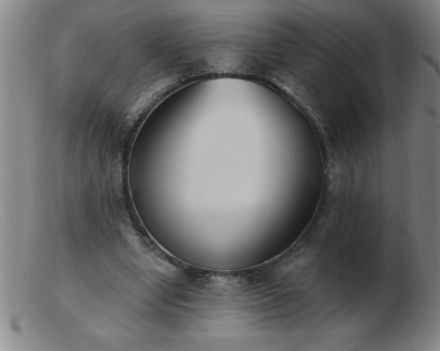 X0000103490442200809191926