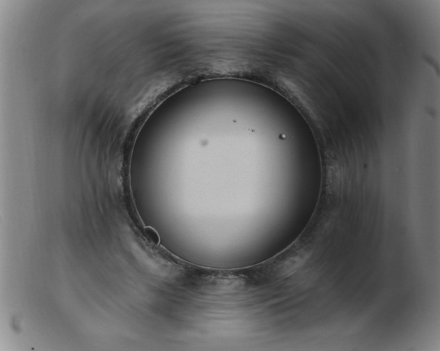 X0000103490443200809191926