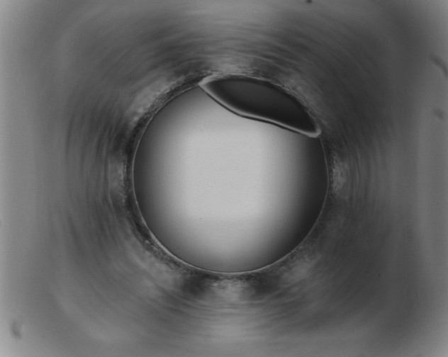 X0000103490444200809191926