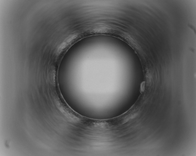 X0000103490446200809191926