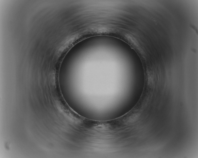 X0000103490447200809191926