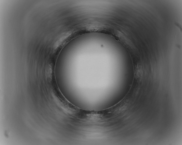 X0000103490448200809191926