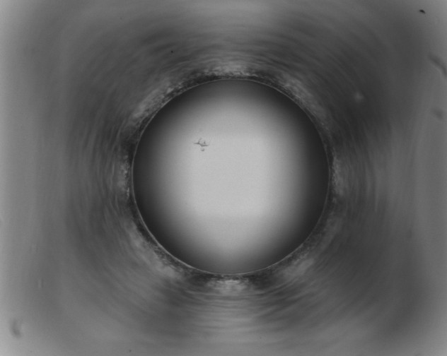 X0000103490449200809191926