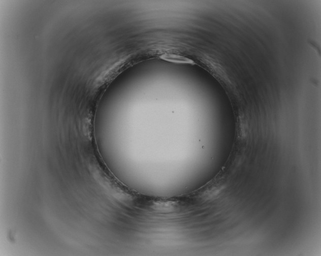 X0000103490450200809191926