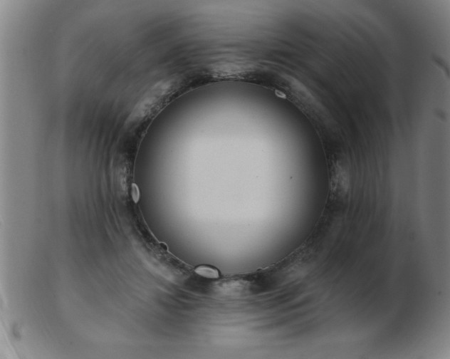 X0000103490452200809191926