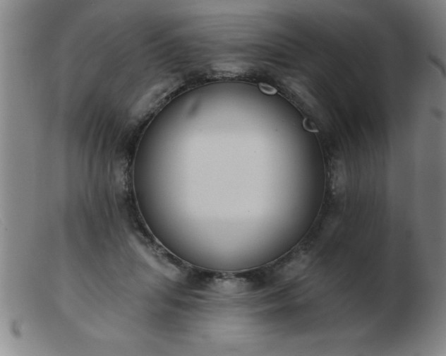 X0000103490455200809191926